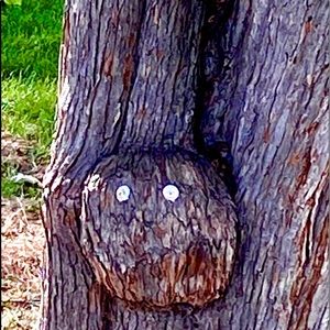 Google eyes for. @amberh300